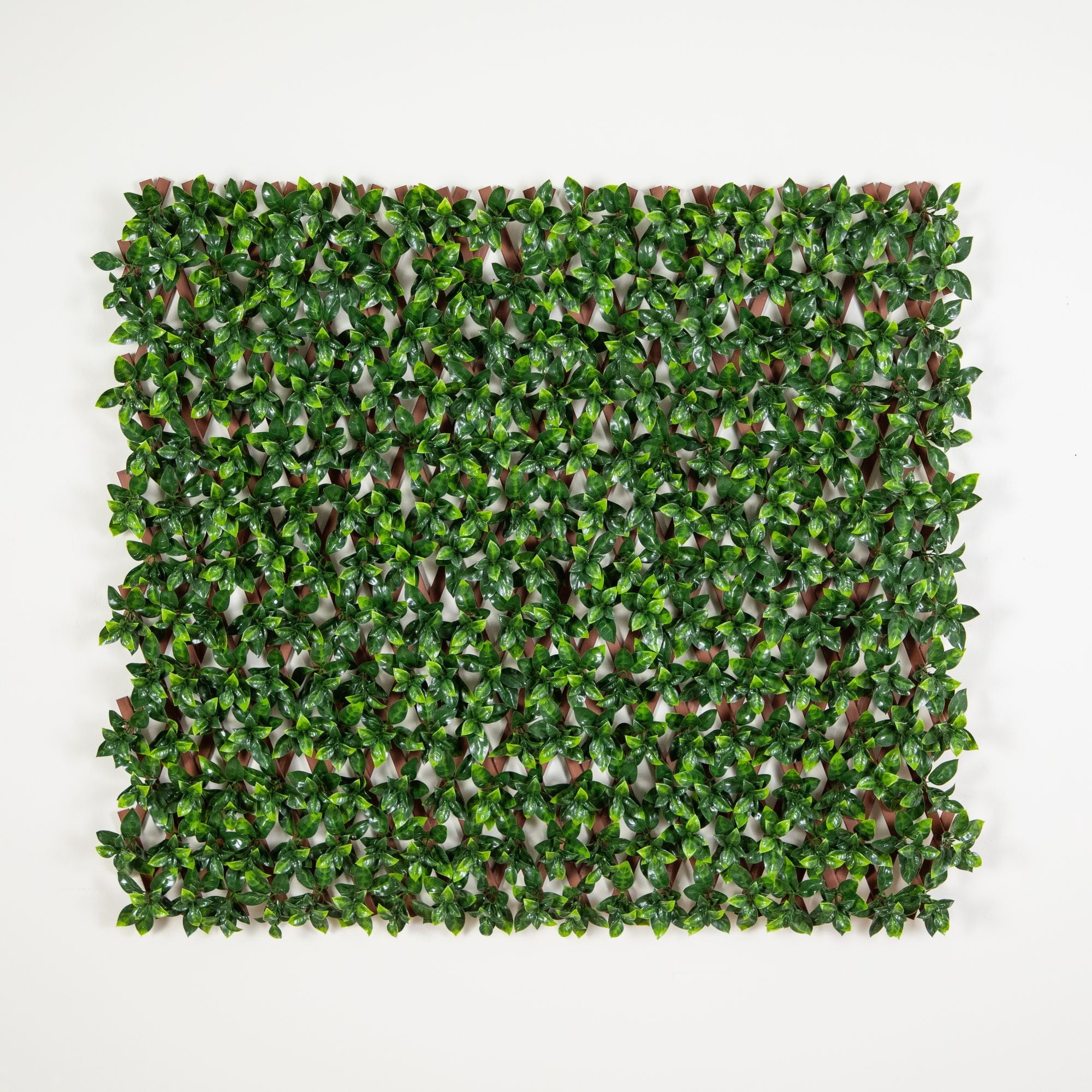 36in. x 72in. UV Resistant Artificial Gardenia Expandable Privacy Fence Screen (Indoor/Outdoor)
