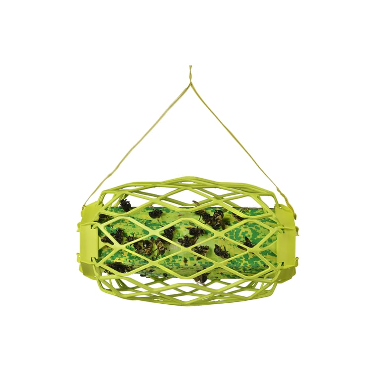 RESCUE! Outdoor Carpenter Bee Trapstik, Sticky Wasp and Bee Trap