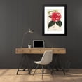 thumbnail image 4 of Charles Antoine Lemaire 18x24 Black Modern Framed Museum Art Print Titled - Camellia Giardino Santarelli (1854-1896), 4 of 5
