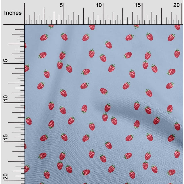 oneOone Polyester Lycra Fabric Raspberry Fruit Decor Fabric Printed BTY 56 Inch Wide