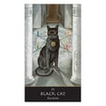 thumbnail image 3 of The Witches' Oracle: (Book and Cards), 3 of 4
