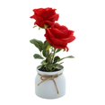 thumbnail image 2 of 1 Set Fake Flower Simulation Wear-resistant Plastic Everlasting Artificial Flower Pot for Home, 2 of 9