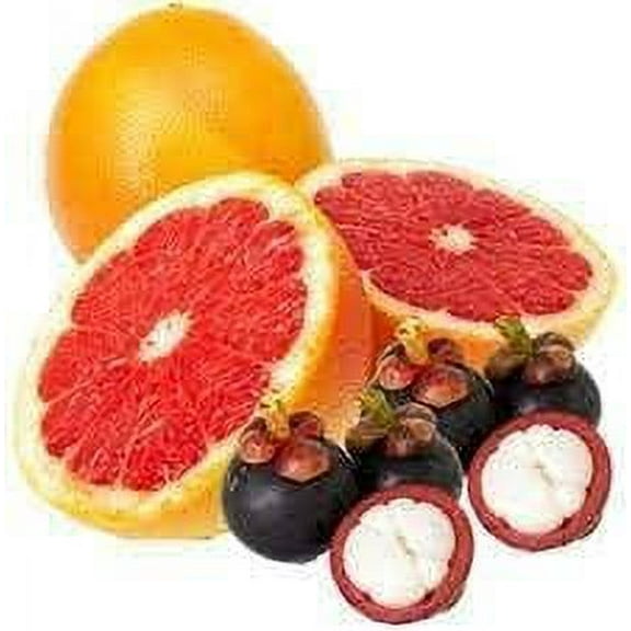 Grapefruit&Mangosteen 64oz Bottle for Candle Making, Soap Making, Tart Making, Room Sprays, Lotions, Car Fresheners, Slime, Bath Bombs, Warmers