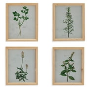 Drew Barrymore Flower Home Floral Framed Art Prints, Set of 4