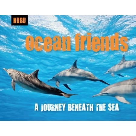 Ocean Friends : A Journey Beneath the Sea