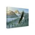 thumbnail image 2 of Trademark Fine Art 'Soaring Eagle' Canvas Art by Wilhelm Goebel, 2 of 3