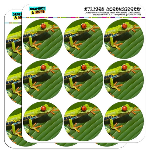 Red Eyed Tree Frog 2" Scrapbooking Crafting Stickers