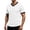 White, variant on IYTR Mens Shirts V-Neck Short Sleeve Slim Fit T-Shirt Contrast Trim Cuff Casual Summer Athletic Gym Workout Solid Color Muscle Tee (White,XXL)