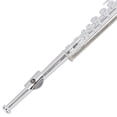 thumbnail image 2 of HLONK Miniature Flute Model  Copper ABS Material  Silver  6 Inch  Musical Collectible, 2 of 8