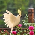 thumbnail image 4 of Estatua de modelo animal de guacamayo emplumado artificial para patio de Blanco Sharpla Estatua de loro, 4 of 6