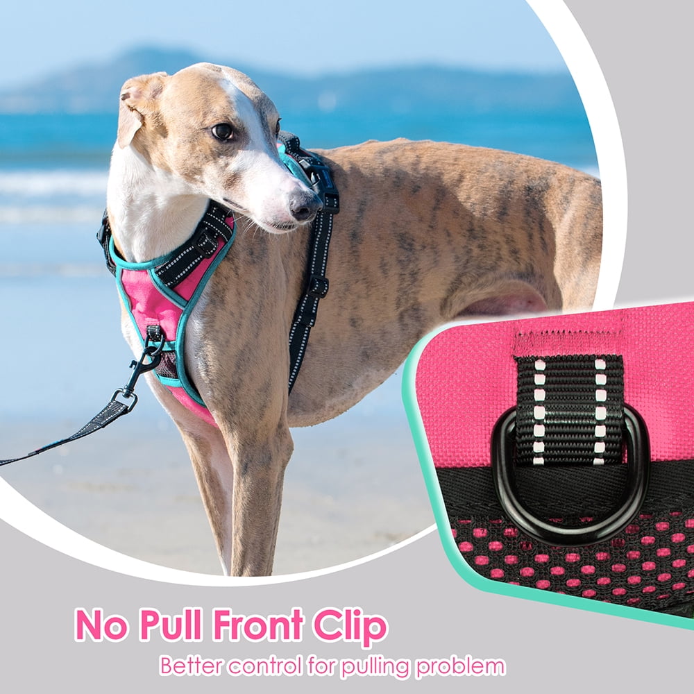 PHOEPET 2019 Upgraded No Pull Dog Harness, Reflective Adjustable Vest, with a Training Handle + 2 Metal Leash Hooks+ 3 Snap Buckles +4 Slide Buckles