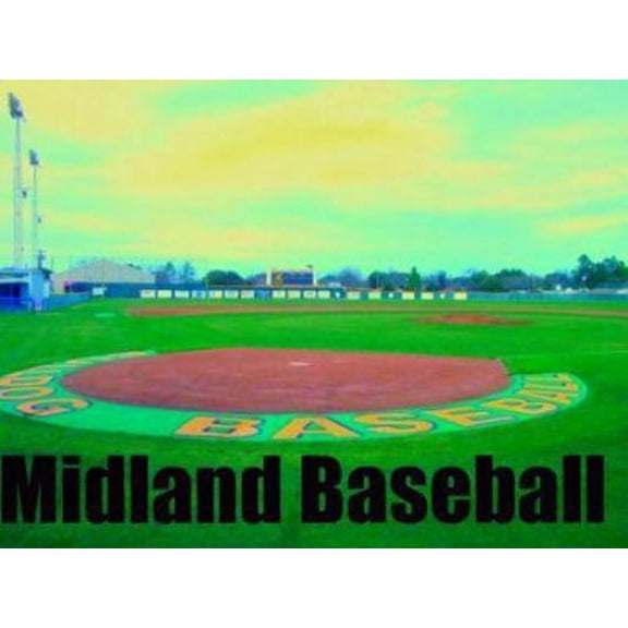 Pre-Owned Bull Catcher (Hardcover) 0590509586 9780590509589