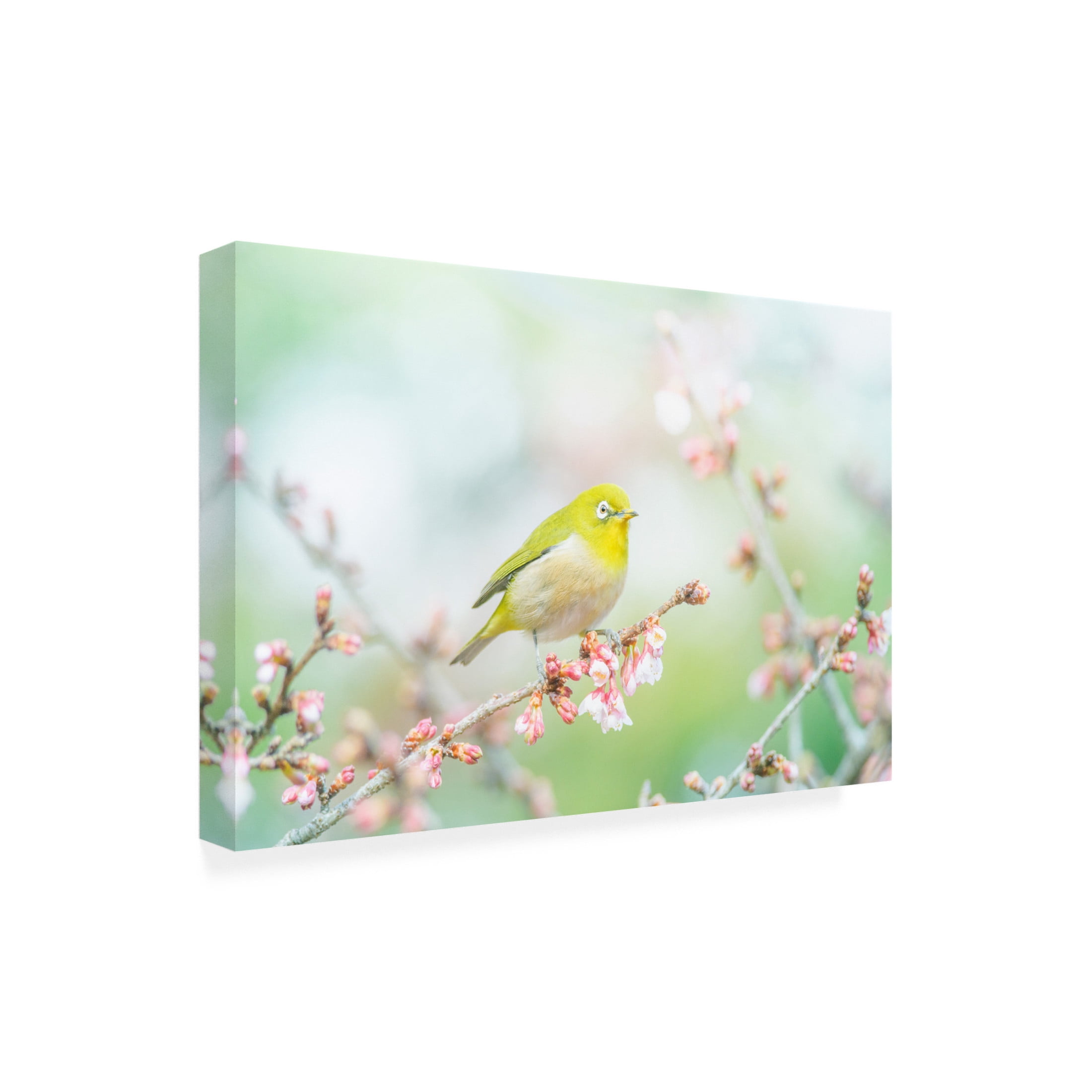 Trademark Fine Art Takashi Suzuki The Arrival Of Spring Canvas Wall Art
