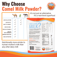 thumbnail image 3 of Camel Culture Dry Camel Milk Powder (200 g) – Nutrient Dense, Low Lactose Powdered Milk Packets – Concentrated, Pasteurized Traditional Dairy Alternative - Health Drink Powder for Recipes, Smoothies, 3 of 7