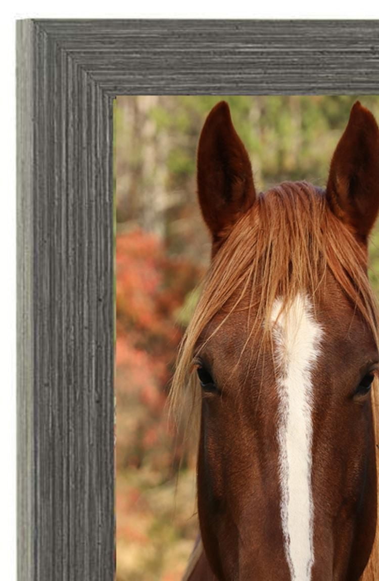 Hometrends Ultima Double Hinged Frame (2) 5x7in Openings, Hinged frame double of 5x7"