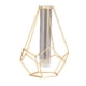 thumbnail image 1 of Advancent Florero Soporte para plantas Decoración de bodas Regalos artesanales Linterna Negro 24x14cm Jardín y Patio Oro geométrico 22.5x15.5 cm Advancent HA063221-04, 1 of 6
