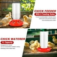 thumbnail image 4 of Chicken Brooder Box for Chicks, Brooder Box with Feeder and Waterer, Chick Starter Kit with Chick Perch for Small Poultry Ducks Quail, 4 of 9