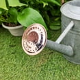 thumbnail image 4 of PRODUCT NAME, 4 of 7