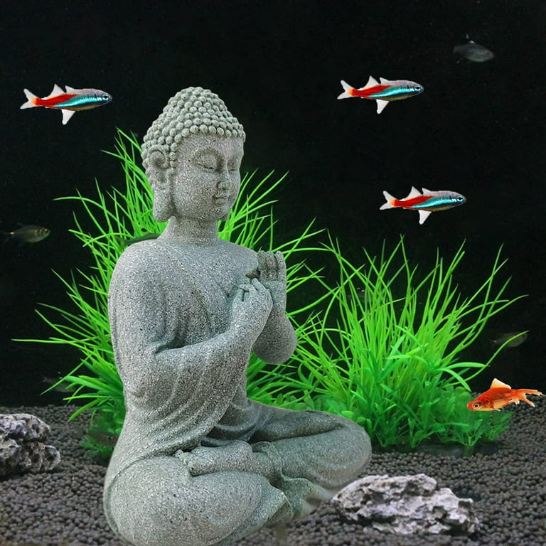 Buddha fish sale tank