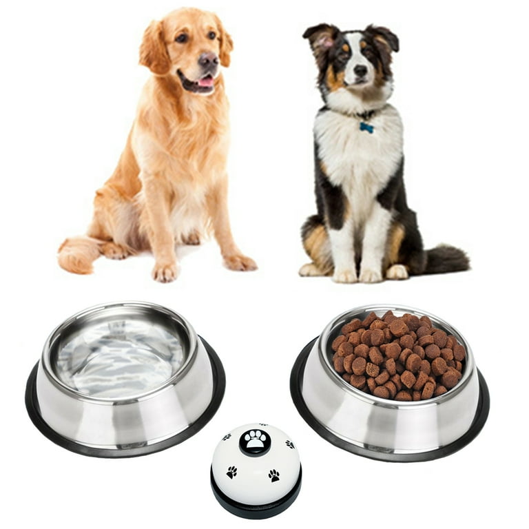 toy box for dog toys Dog Toy Storage Bin