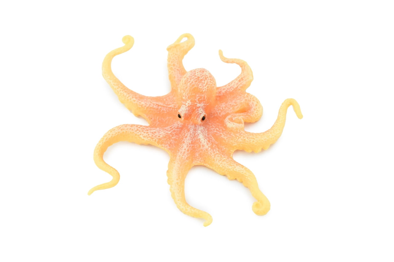 Octopus, Octopodes, Octopoda, Octopi, Ocean, Hand Painted, Rubber