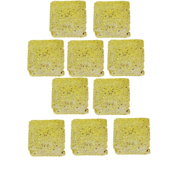 Wildlife Sciences Woodpecker Pecan Suet Cake 10 Pack for Wild Birds