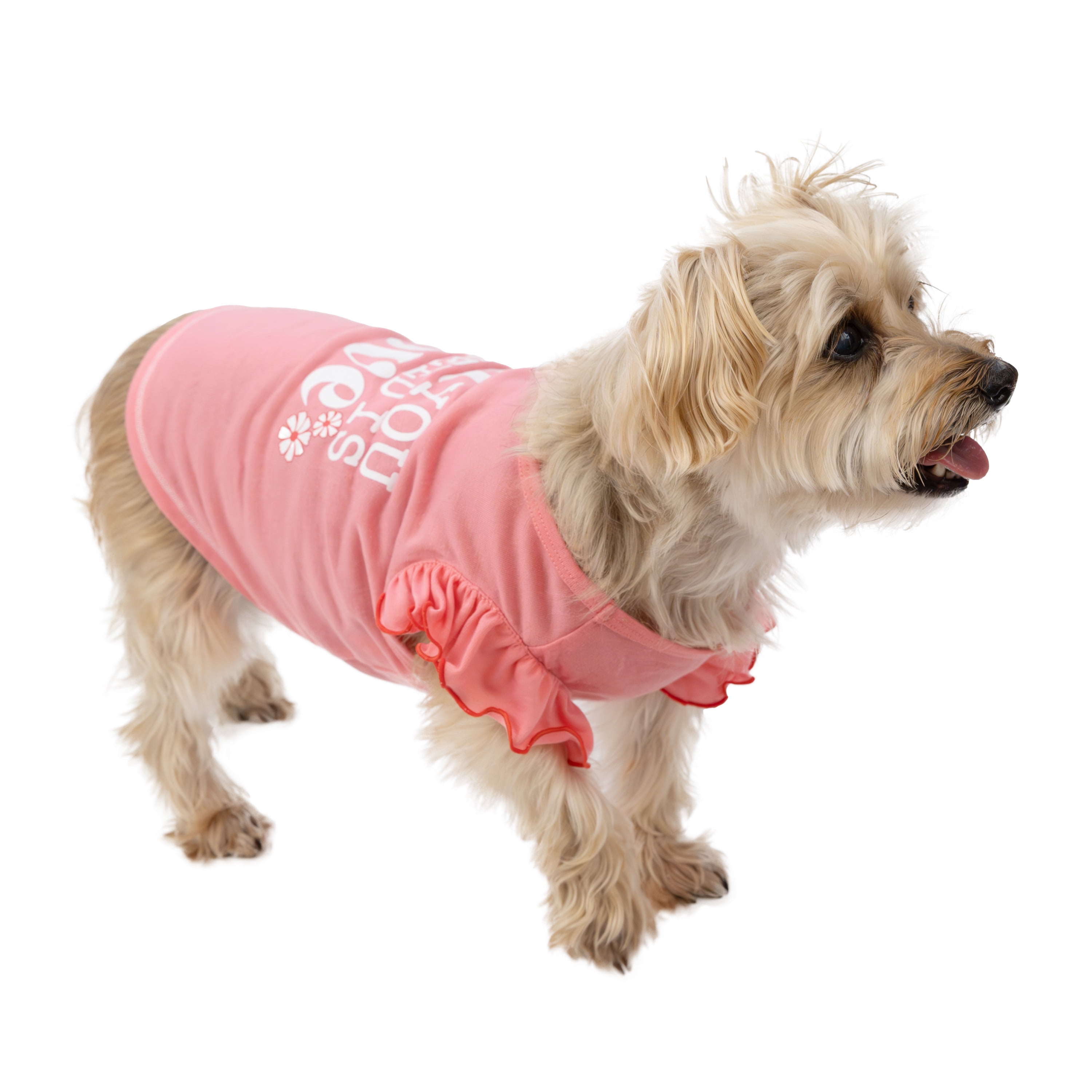 Vibrant Life All You Need Is Love Cat and Dog T-Shirt, Pink, Small