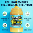 thumbnail image 4 of Biolore Sour Apple Sea Moss Gel, 8 oz – No Added Sugar, Vegan, Ready-to-Use Wildcrafted Sea Moss Gel with Monk Fruit, Smoothie & Food Add-In, 4 of 5