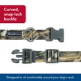 thumbnail image 4 of Collar para perro Coastal Water & Woods, ajustable, 2,5 cm x 36-51 cm, 4 of 7