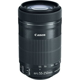 良品 キヤノン EF-S 55-250mm F4-5.6 IS STM 0085 Canon EF-S 10-18mm f/4.5-5.6 IS STM Lens - International