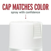 White, Rust-Oleum Stops Rust Protective Enamel Flat Spray Paint-7790830, 12 oz