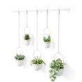 thumbnail image 4 of Umbra Triflora Hanging Planter Set of 5 White/Brass, 4 of 10