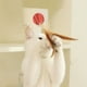 thumbnail image 5 of Juguete para gatos, pelota interactiva que rebota para gatos de interior y exterior, juguetes activos para gatos, pelotas para gatos, juguetes interactivos para gatos, juguetes portátiles, 5 of 8