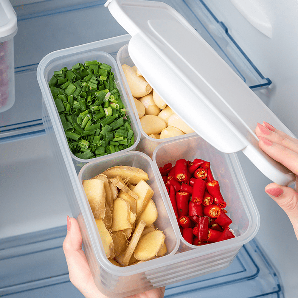 Food Container With Removable Dividers – staiy.