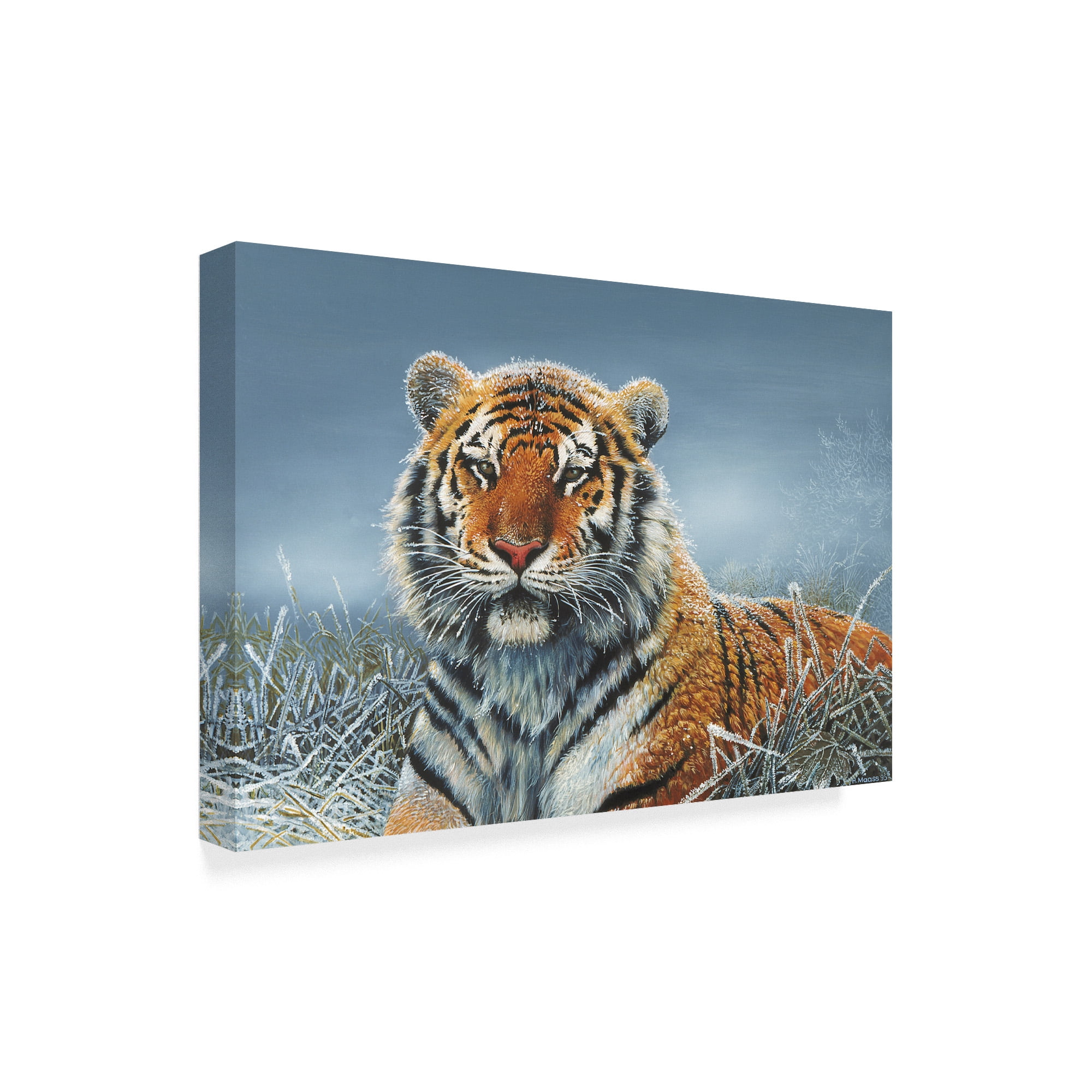 Trademark Fine Art 'Tiger In Snow' Canvas Art by Harro Maass