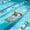 #0216-Gray, variant on Kieccall Swimming Kick Board Lightweight Training Float Accessory For Beginner Swimming Exercise And Water Sports Practice Gift