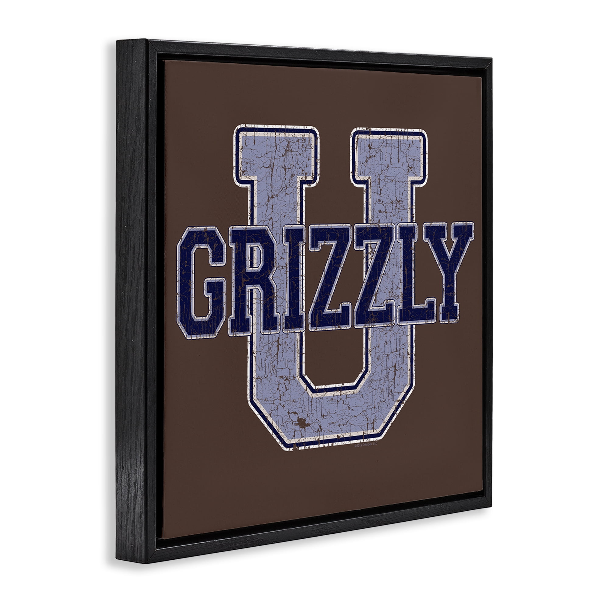Stupell Industries Grizzly U College University Novelty & Humor Painting Black Floater Framed Canvas Art Print Wall Art, 18 x 18