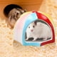 thumbnail image 4 of Escondite para Hamster Ganfancp Casa de Ceramica para Mascota, 4 of 7