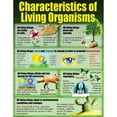 thumbnail image 4 of McDonald Publishing Living Organisms Posters, Set of 4, 4 of 6
