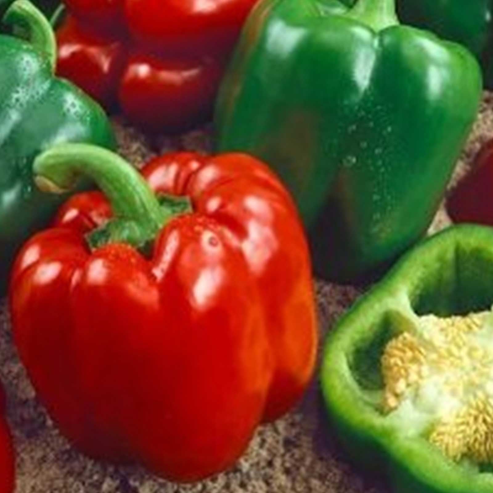 Capsicum 40 Seeds HEIRLOOM vegetable garden GREEN RED YELLOW WHITE bell pepper Capsicum 40 Seeds HEIRLOOM vegetable garden GREEN RED YELLOW WHITE bell pepper