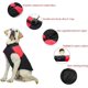 thumbnail image 3 of M Abrigo para perros Chaqueta impermeable cálida de invierno Chaleco para cachorros Ropa a prueba de viento para mascotas al aire libre Ropa para perros para climas fríos, chaleco suave para, 3 of 5