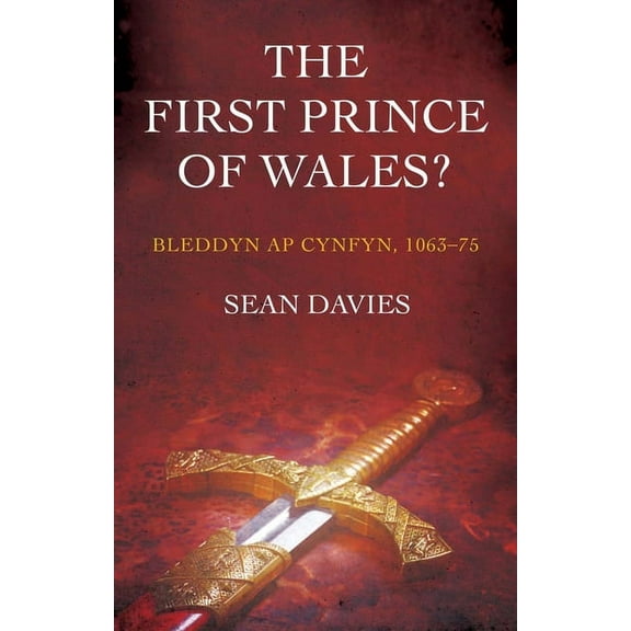 The First Prince of Wales? : Bleddyn ap Cynfyn, 1063-75 (Paperback)