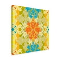 thumbnail image 2 of Trademark Fine Art 'D04 (Pattern)' Canvas Art by Maria Rytova, 2 of 3