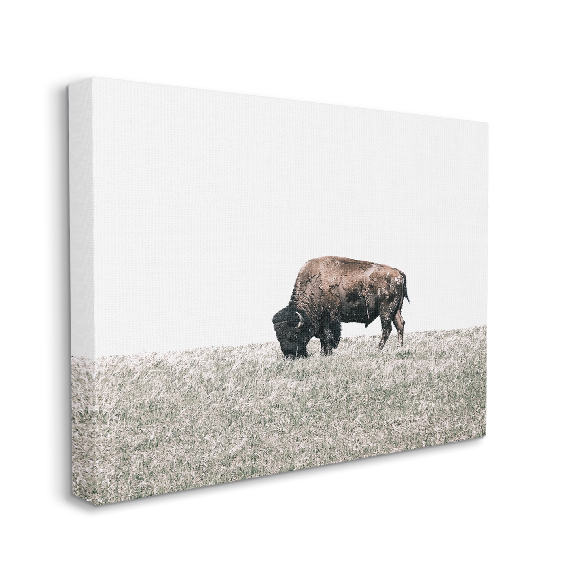 Stupell Industries Buffalo Grazing Pasture Animals & Insects Photography Gallery Wrapped Canvas Art Print Wall Art, 40 x 30