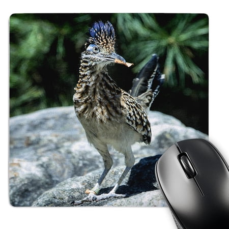 3dRose  Road Runner  Mouse Pad price history on PriceWatchPro