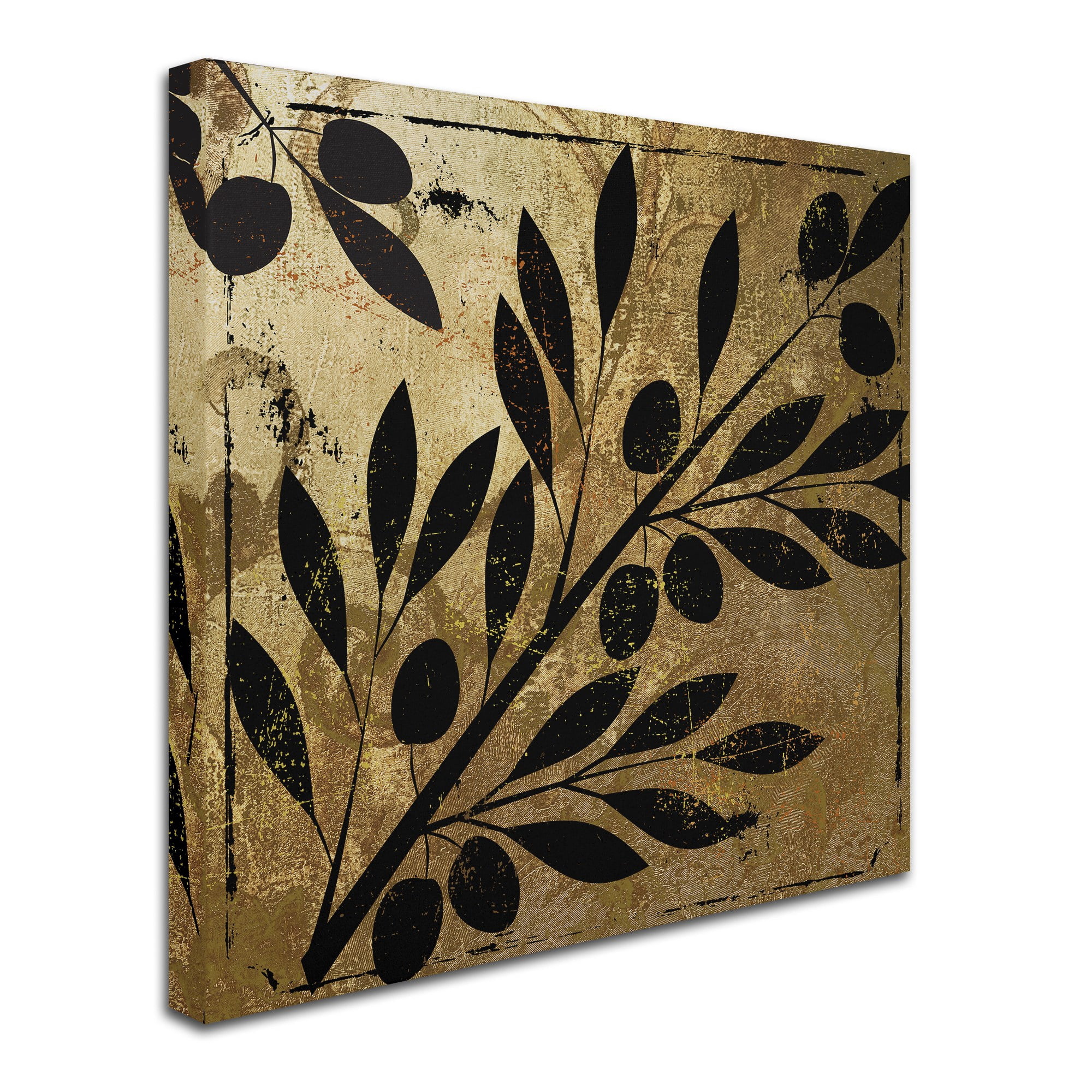 Trademark Fine Art "Bellissima II" Canvas Art by Color Bakery