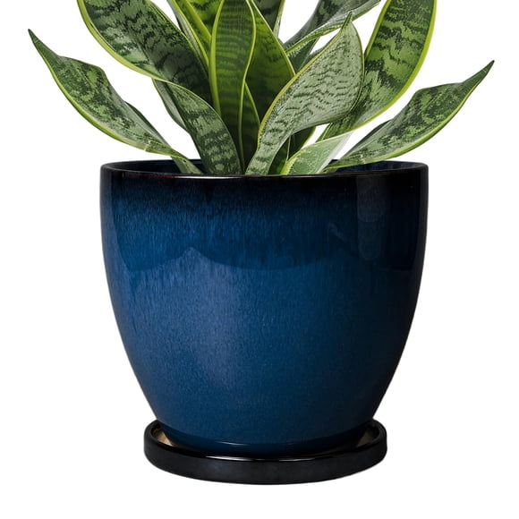 Maceta Ceramic Planters EPFamily de 15 cm con platillo, color azul
