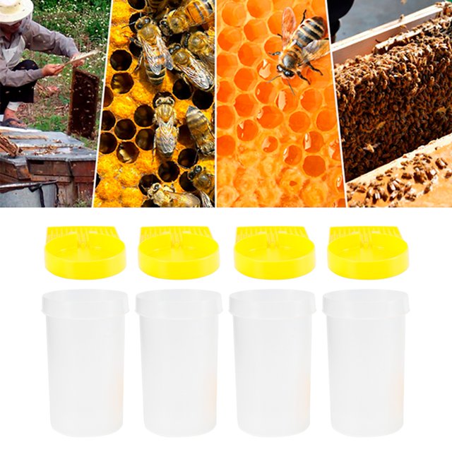 Beekeeping Drinking Equipment, Transparent Bee Feeder Safe Durable For Beekeep For Beekeepers