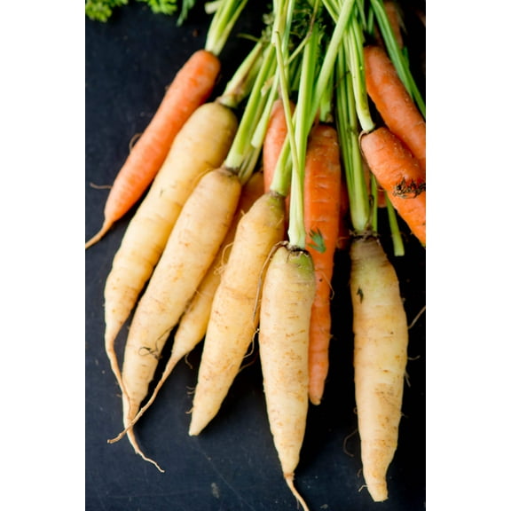 300 Seeds LUNAR WHITE CARROT Daucus Carota Vegetable Seeds