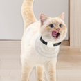 thumbnail image 1 of Klonfd Stay Connected With Your Furry Advanced Pet Locator Device Real Tracking & Alerts For Peace Of Mind, 1 of 4